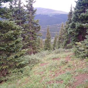 Quandary Peak (09).jpg